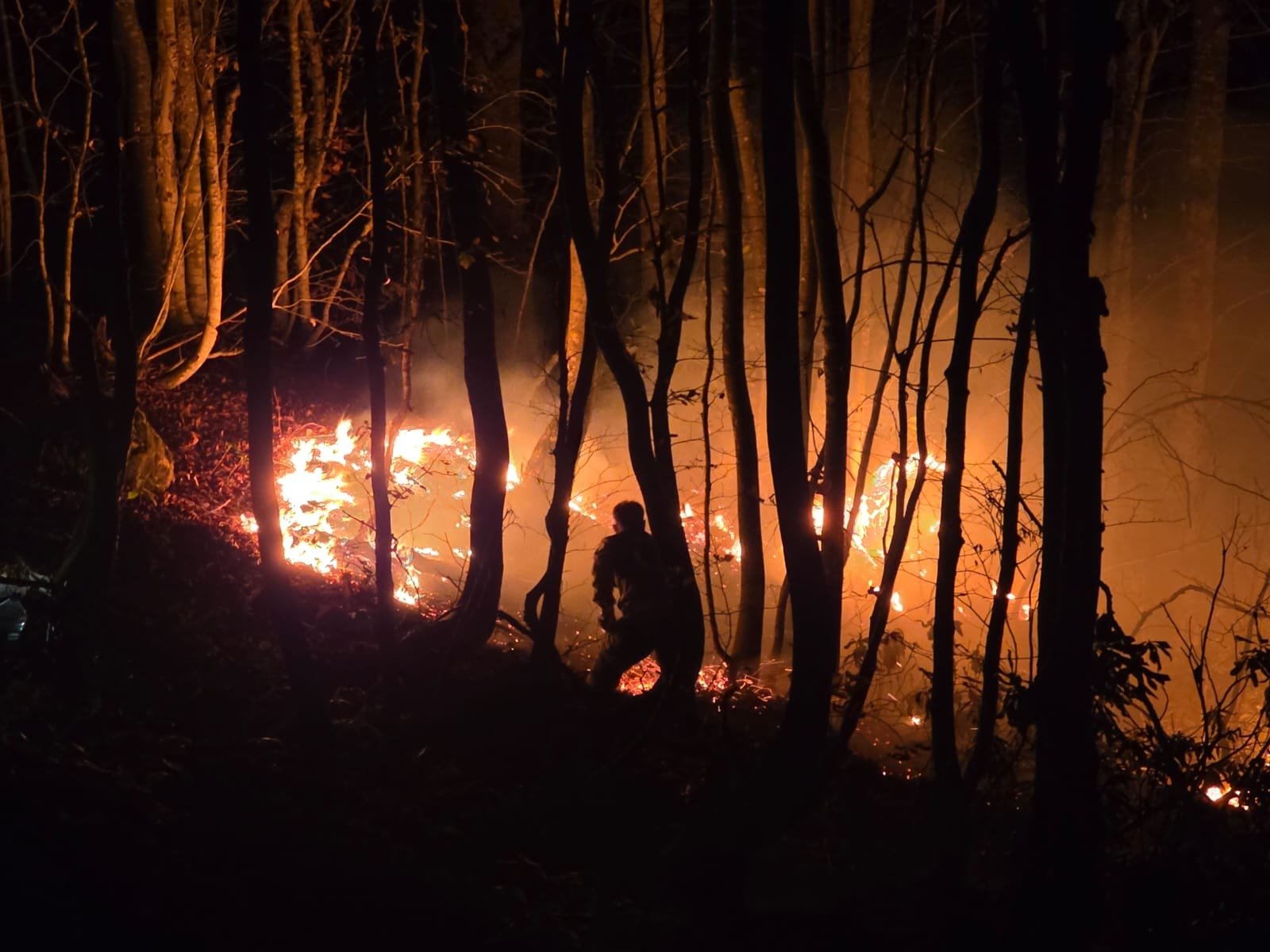 Son Dakika Haber Görseli
