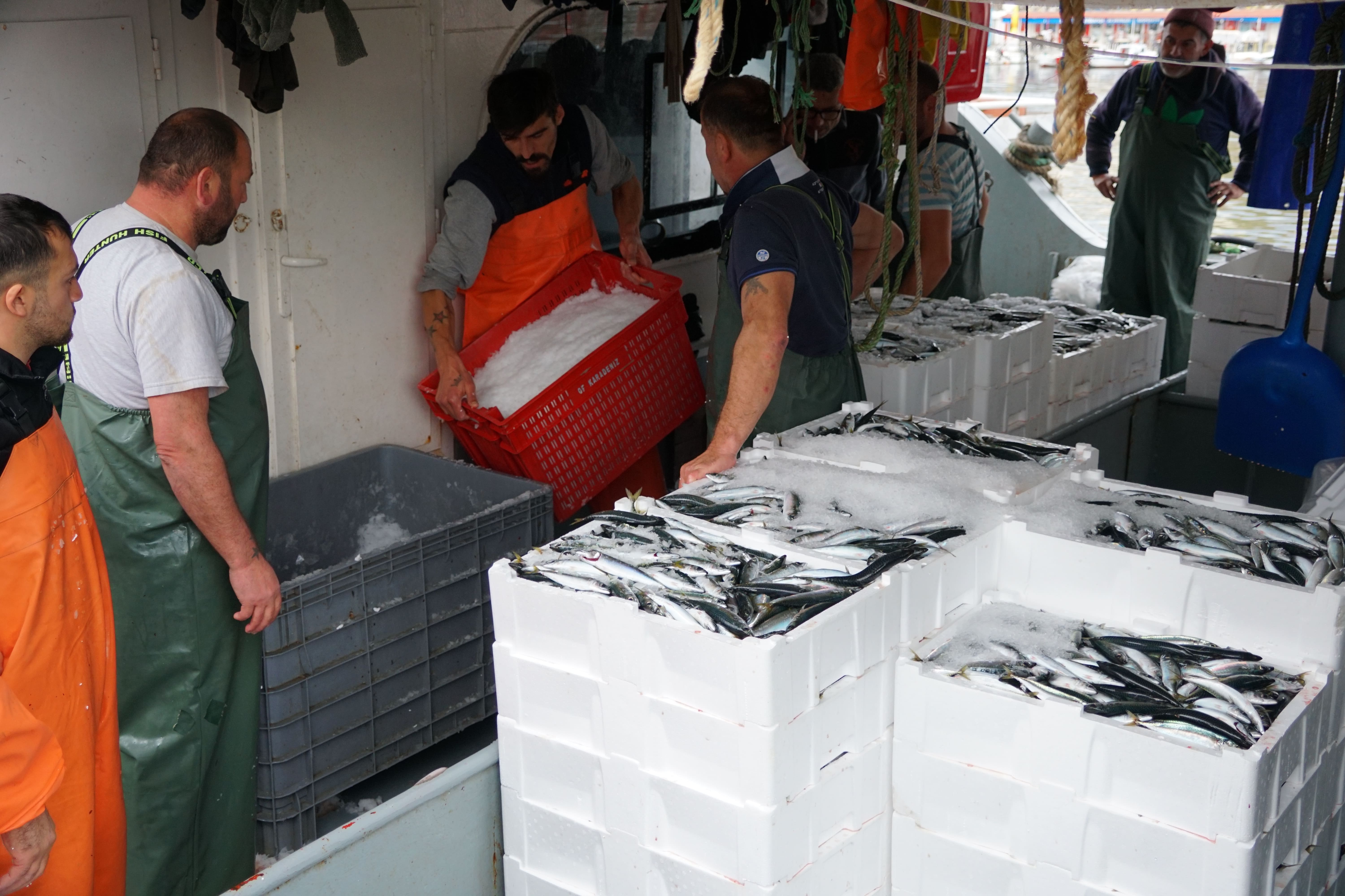 Tekirdağ açıklarında istavrit avlayan balıkçılar limana dönüyor