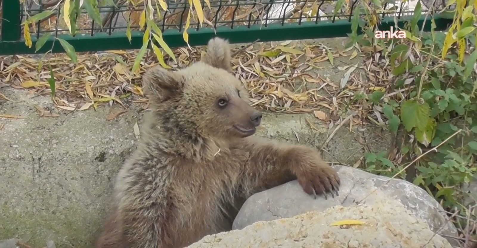 Son Dakika Haber Görseli