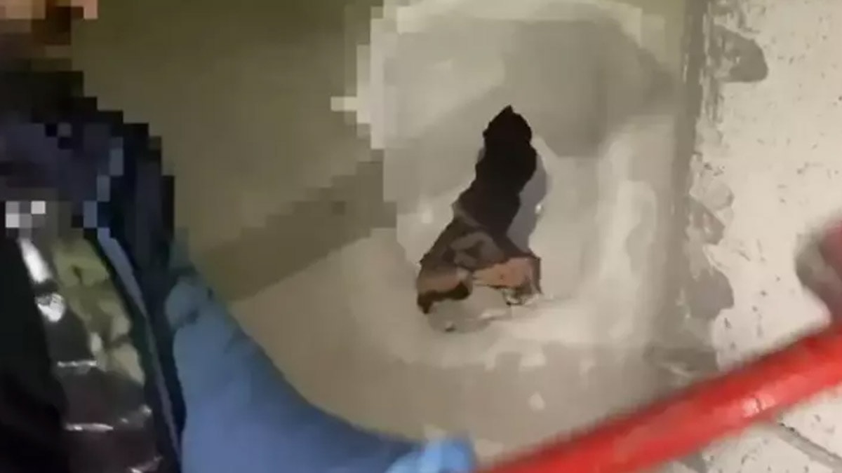 Batman’da 3 yılda 2 binden fazla silah ve 119 bin parça ele geçirildi