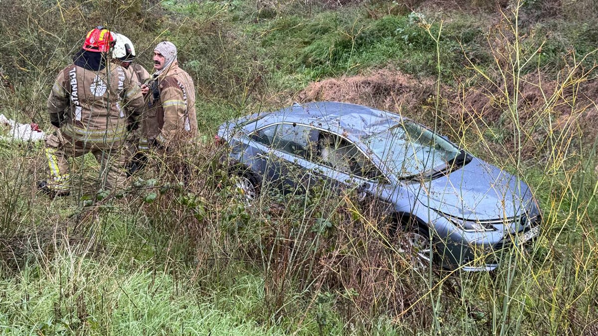 Beşiktaş'ta otomobil dereye uçtu