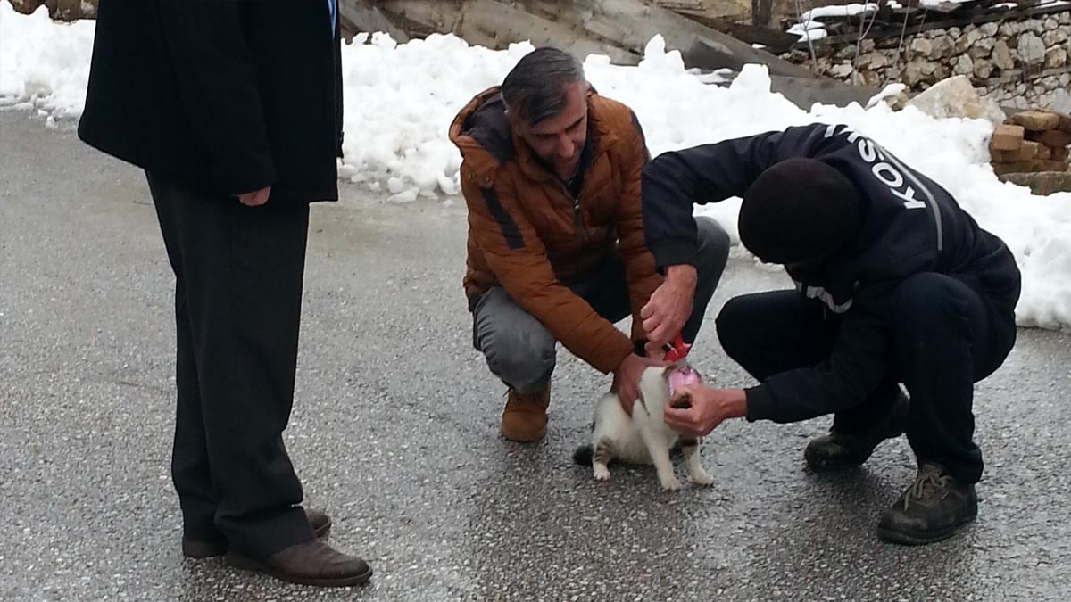 Başı konserveye sıkıştı! İmdadına temizlik personeli yetişti