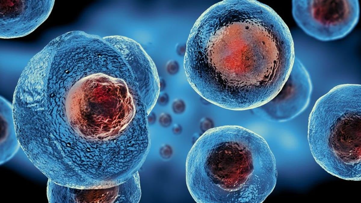 Son Dakika Haber Görseli