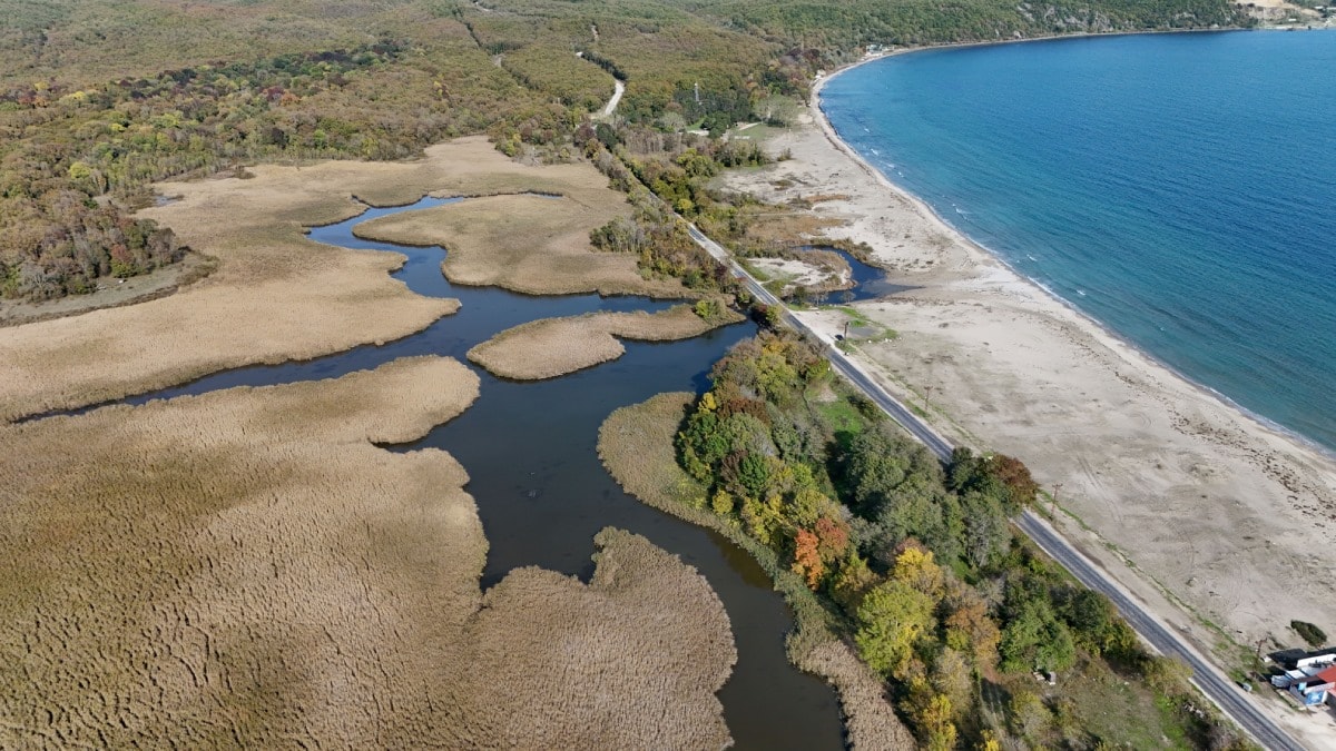 Mersin ve Sinop'tan sonra sıra o ilimize geldi: Üçüncü nükleer için cennet köşe tehlikede