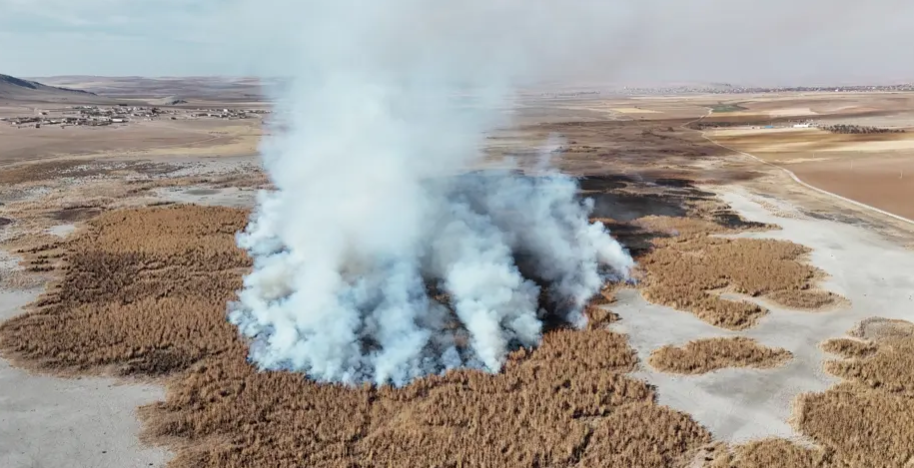 Önce kurudu sonra yandı! Konya'da facia yaşandı