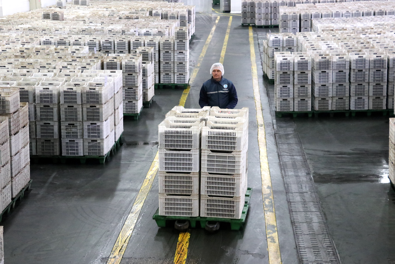 Marmarabirlik zeytin ürünleri