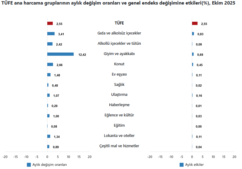 Aylık enflasyon değişimleri grafiği