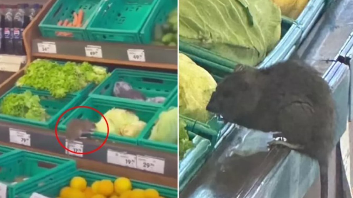 Üç harfli market zincirinde mide bulandıran görüntü