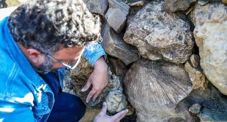 Bingöl'de büyük keşif! 50 milyon yıl öncesine ait olduğu düşünülüyor