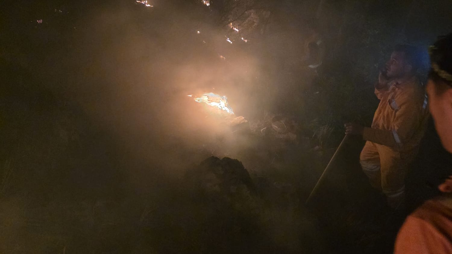 Hatay'da ormanlık alanda yangın