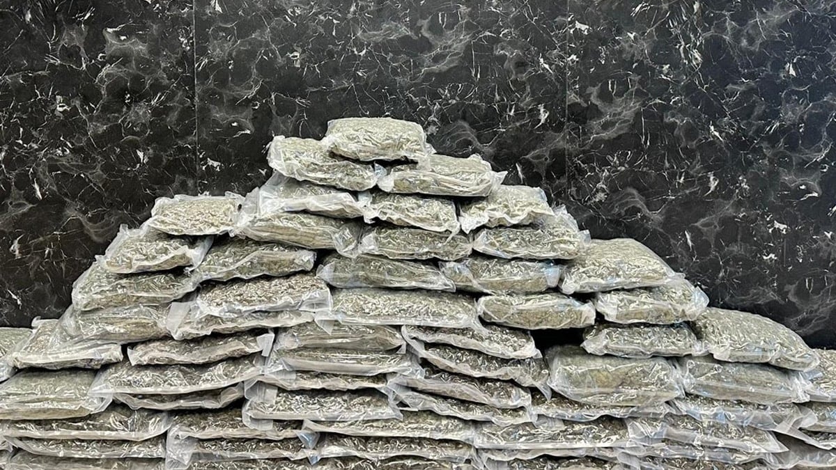 İstanbul'da 71 kilo 400 gram skunk ele geçirildi: 1 kişi tutuklandı