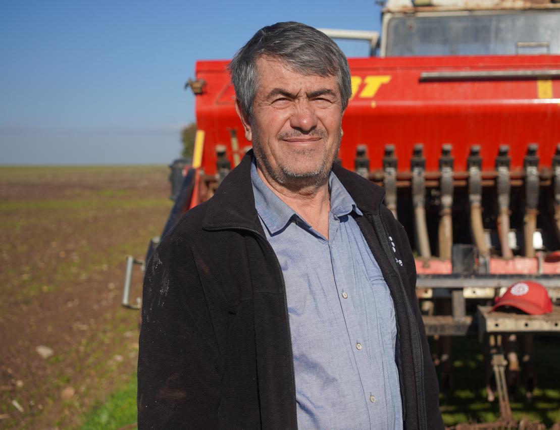 Yeşermiş kanola tarlası