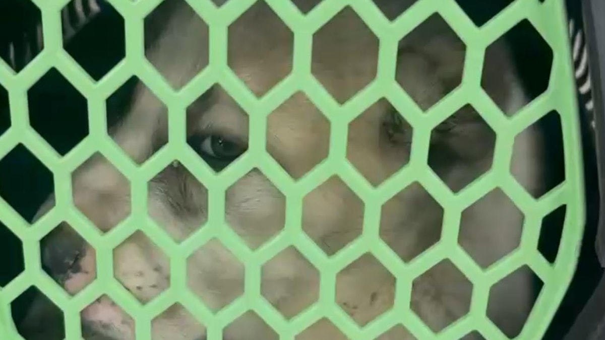 Kurultay öncesi CHP MYK toplandı