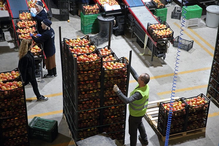 Meyve işleme tesisi