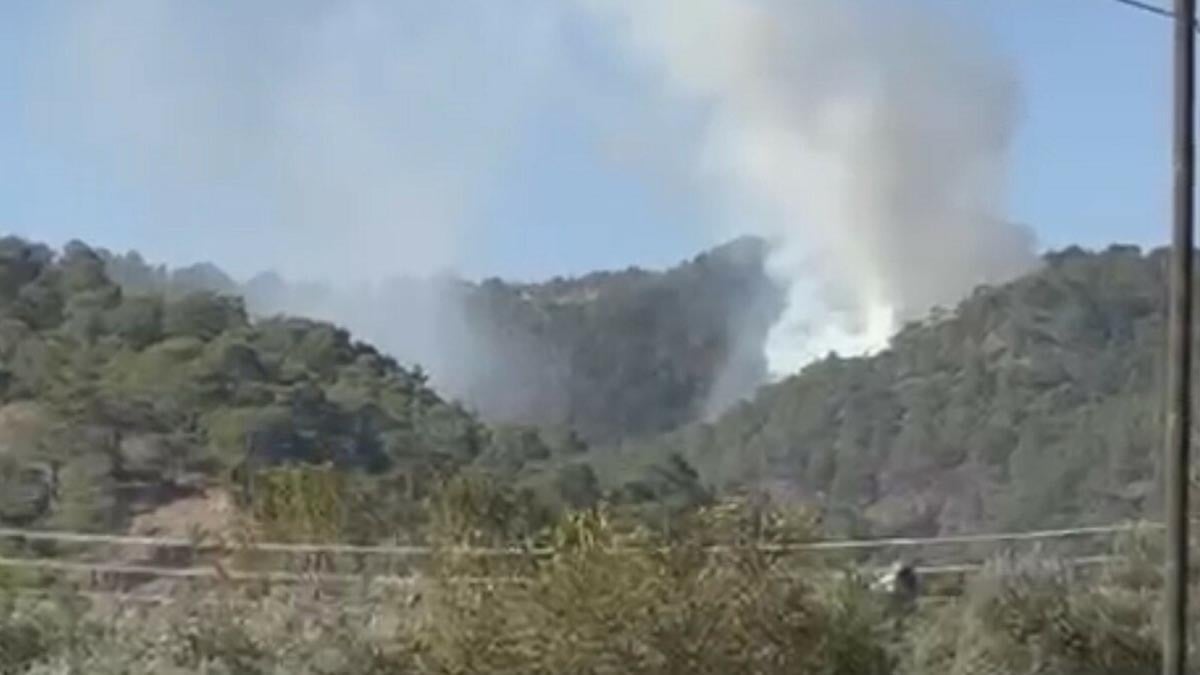Muğla'da orman yangını: Vatandaşlar fark edip ekiplere haber verdi