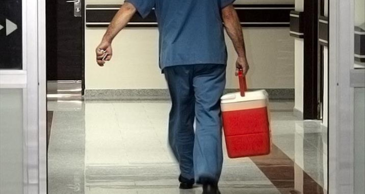 organjpg-fnkGPz0OM0Wk-D6Qa9PSpw Canlı verici organ nakillerinde ilk gönüllüler anneler