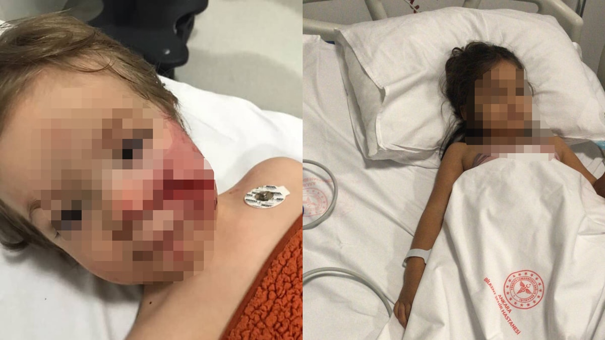 Bakan Yerlikaya duyurdu: Pitbull'un sahibi tutuklandı