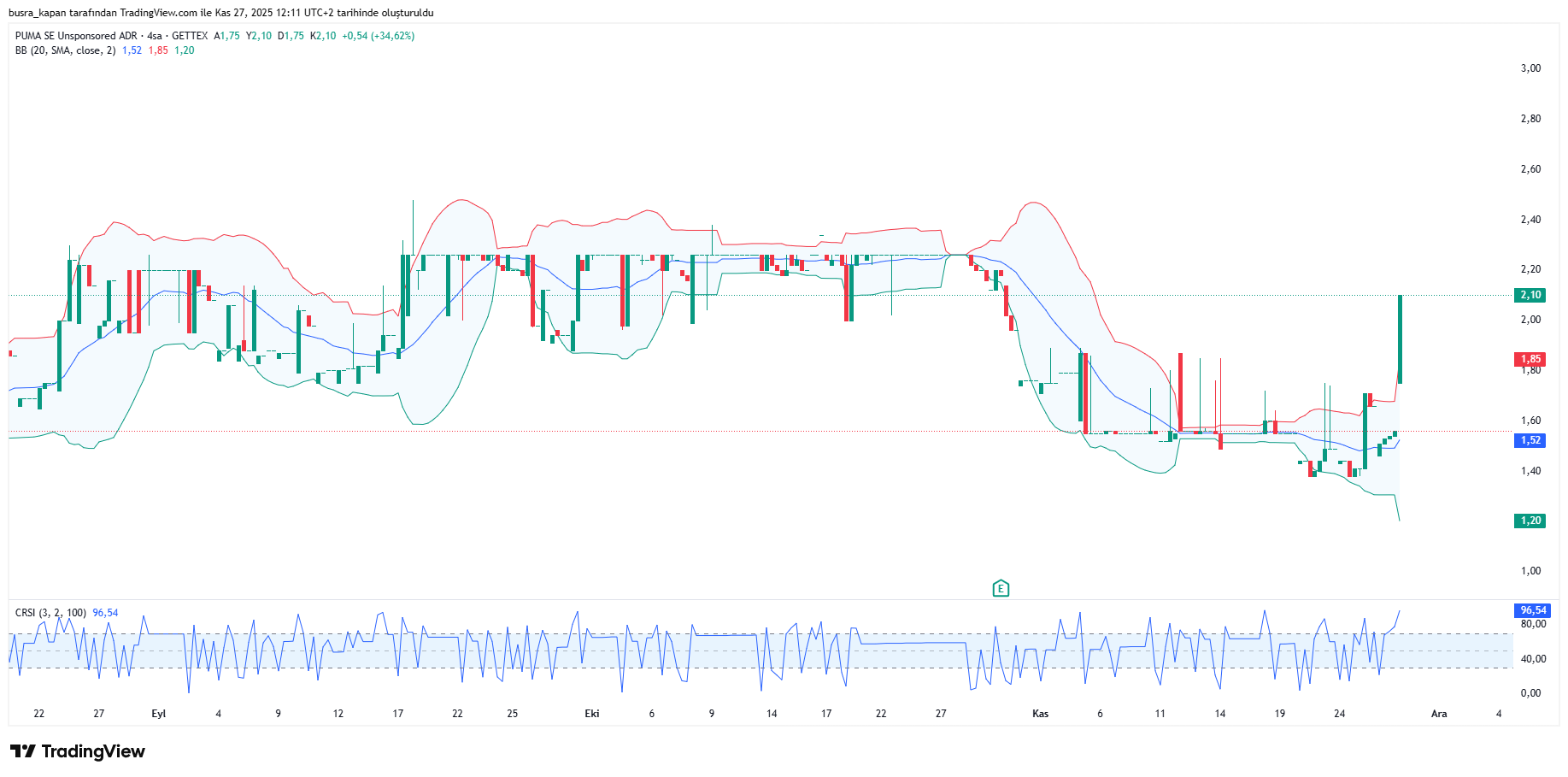Puma hisseleri grafiği