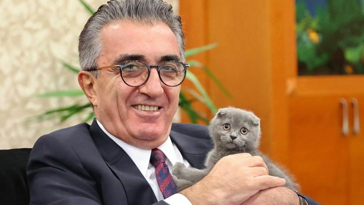 Başkanın kedisini kovdular