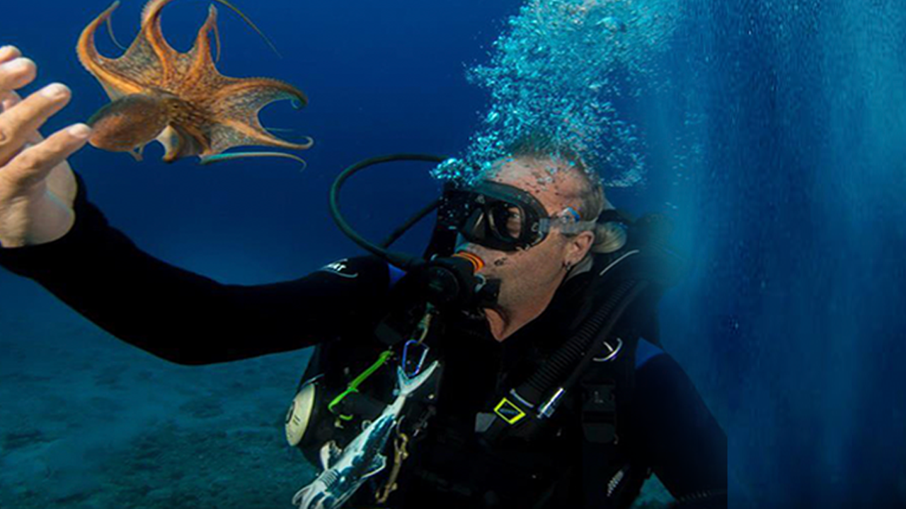 Bodrum’da ünlülerin dalış eğitmeni evinde ölü bulundu