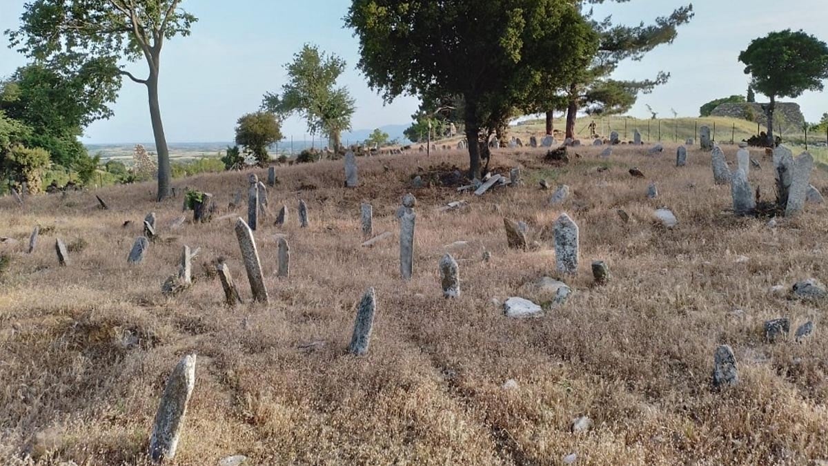 Son Dakika Haber Görseli