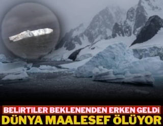 Мир стремительно умирает: симптомы появились раньше, чем ожидалось