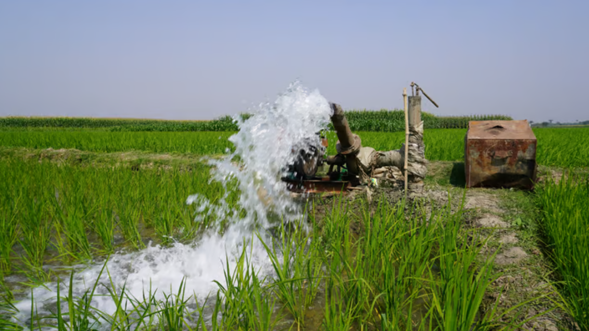 Sulama yöntemi değişti, hasadı rekor kırdı