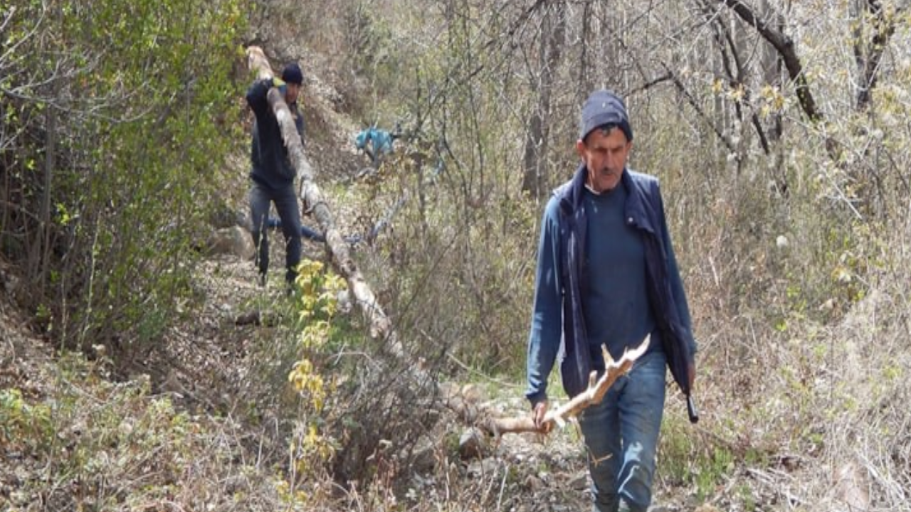 Akademisyen doğayı savundu, GES projesini yargıya taşıdı