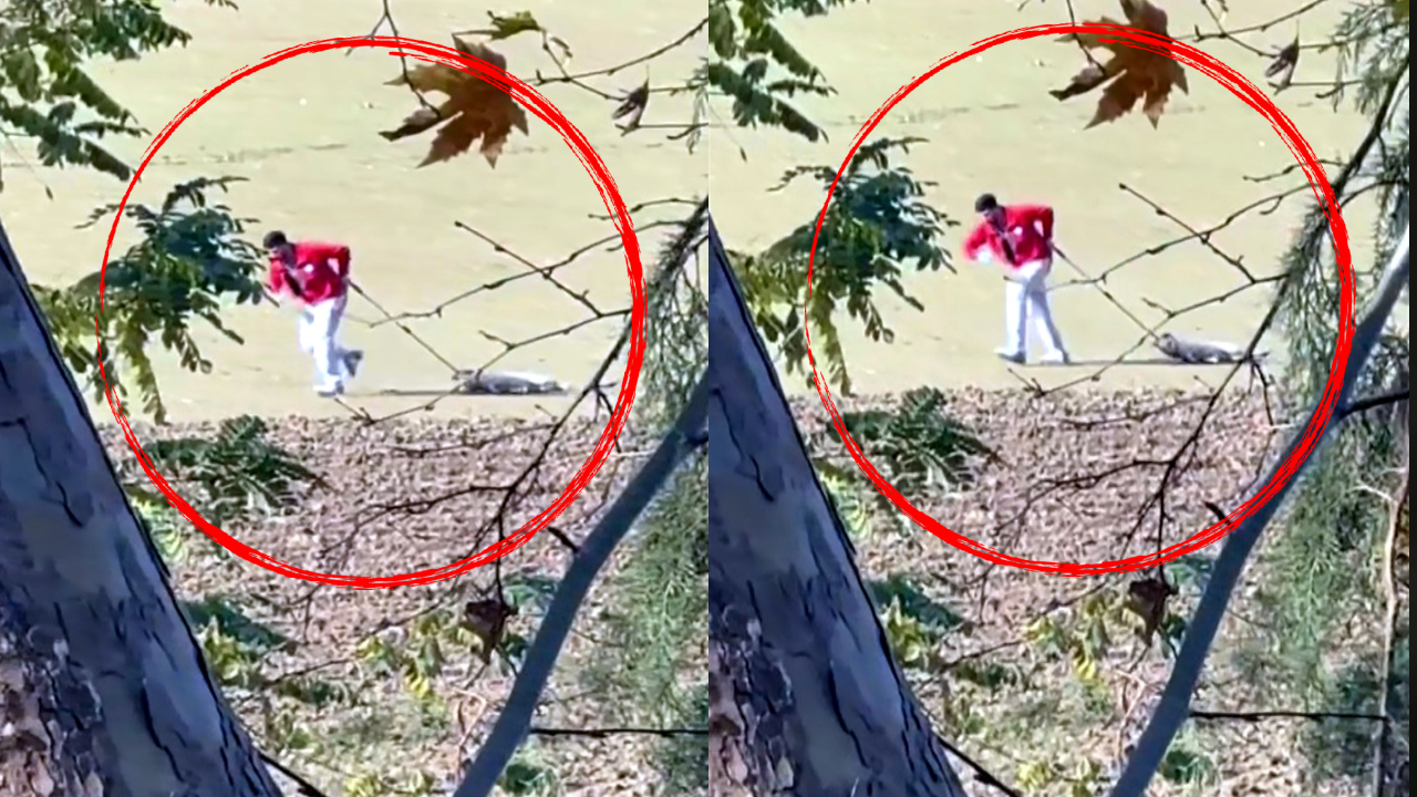 Belediye personelinin caniliği: Sokak köpeğini iple sürükledi