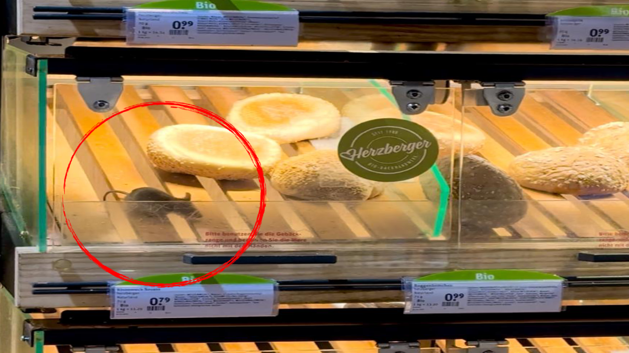 Son Dakika Haber Görseli