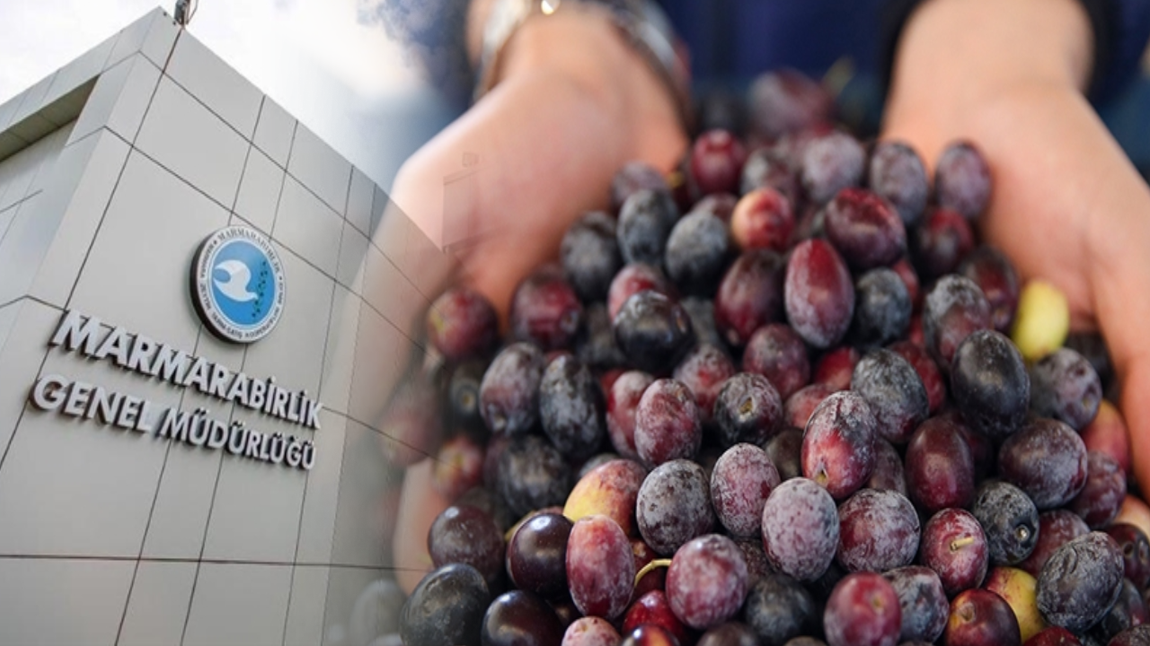 Son Dakika Haber Görseli