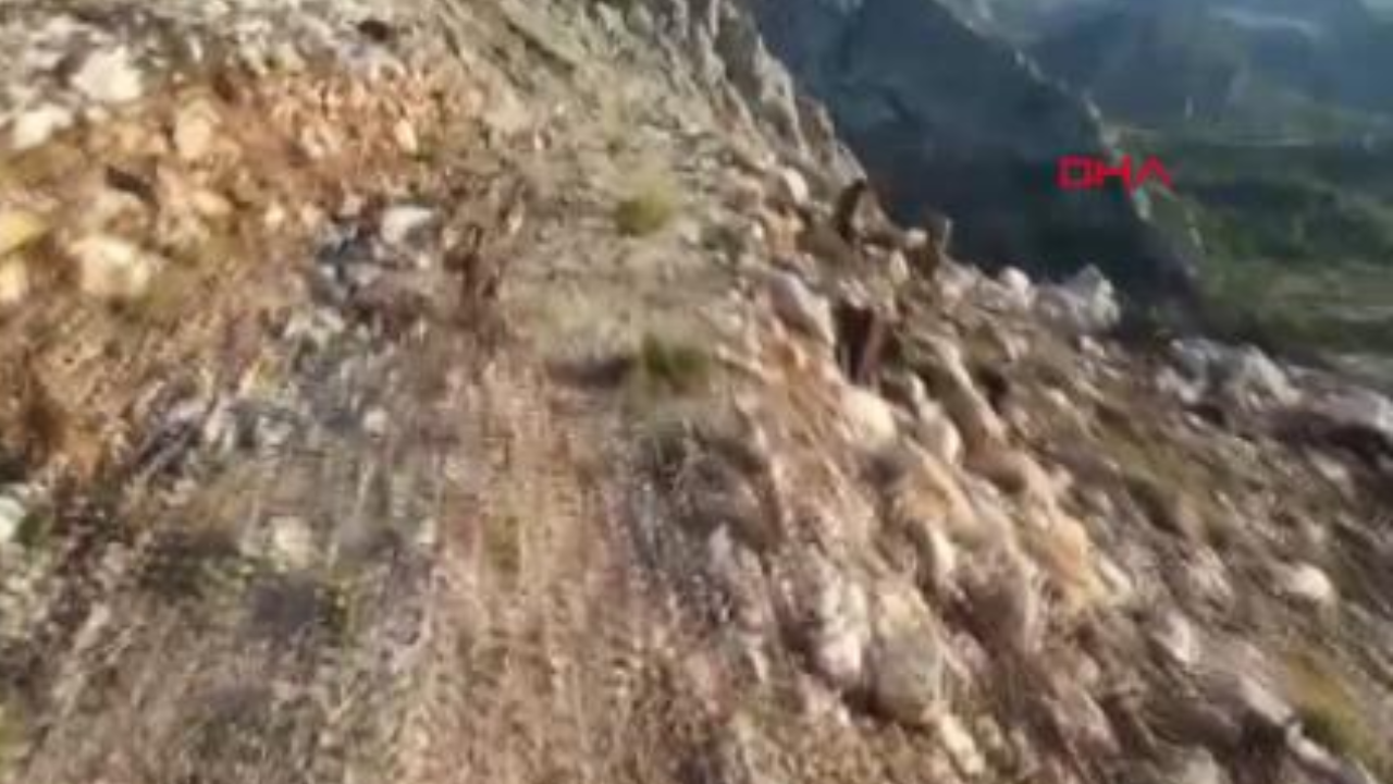 Son Dakika Haber Görseli