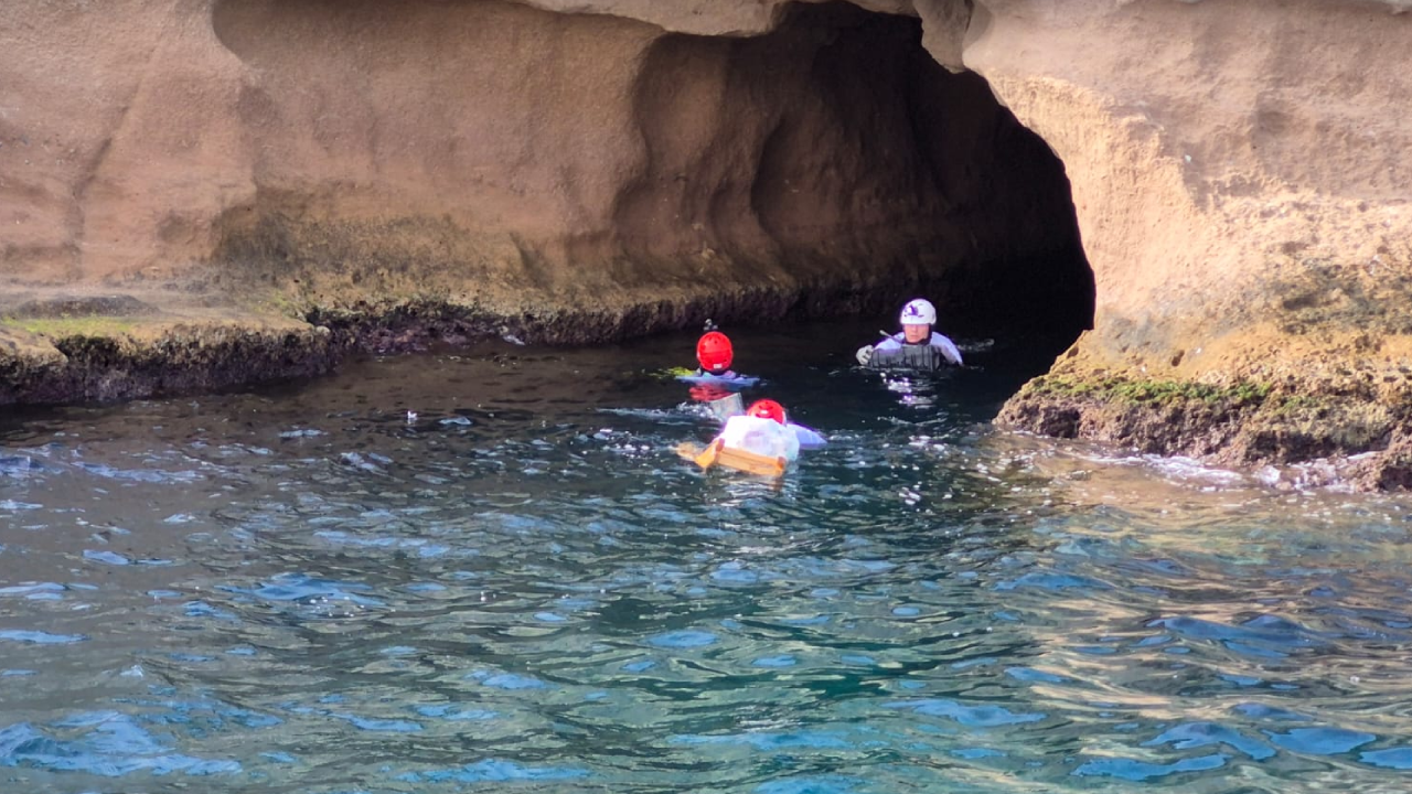 Ege’de fokların barınma alanları kameralarla donatılıyor