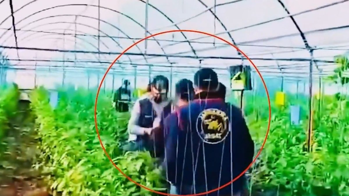 7 yıl önce cinayet işlemişti, serada yakalandı