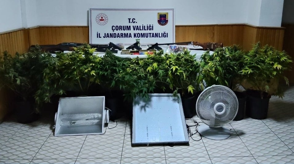 Köy evine sistem kurup, uyuşturucu bitki yetiştirmişler