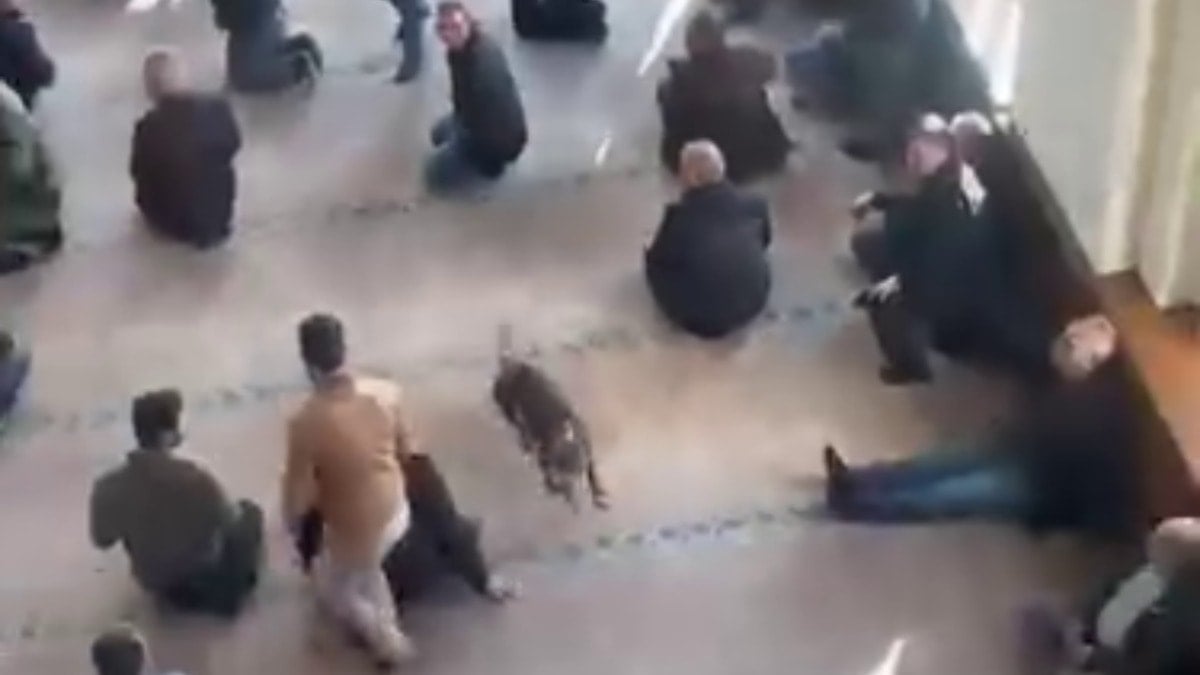 Cuma namazı öncesi camide pitbull paniği