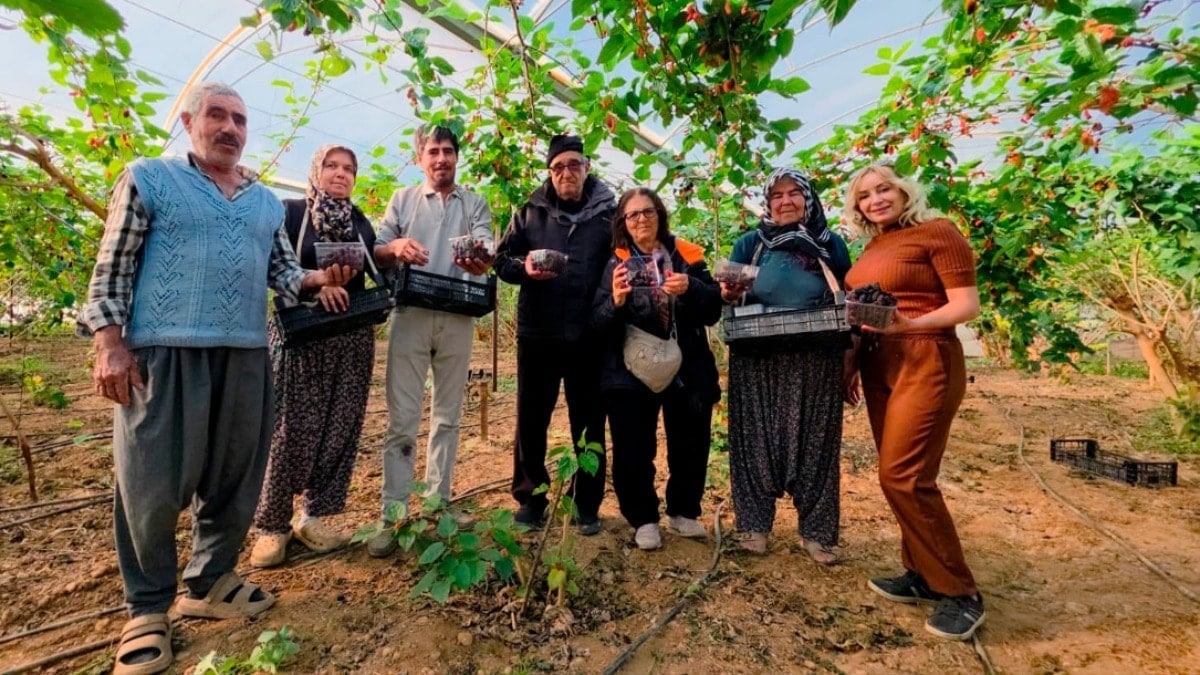 Yiyenlere şifa saçıyor: Kilosu 130 liraya fırladı, üreticinin yüzü güldü