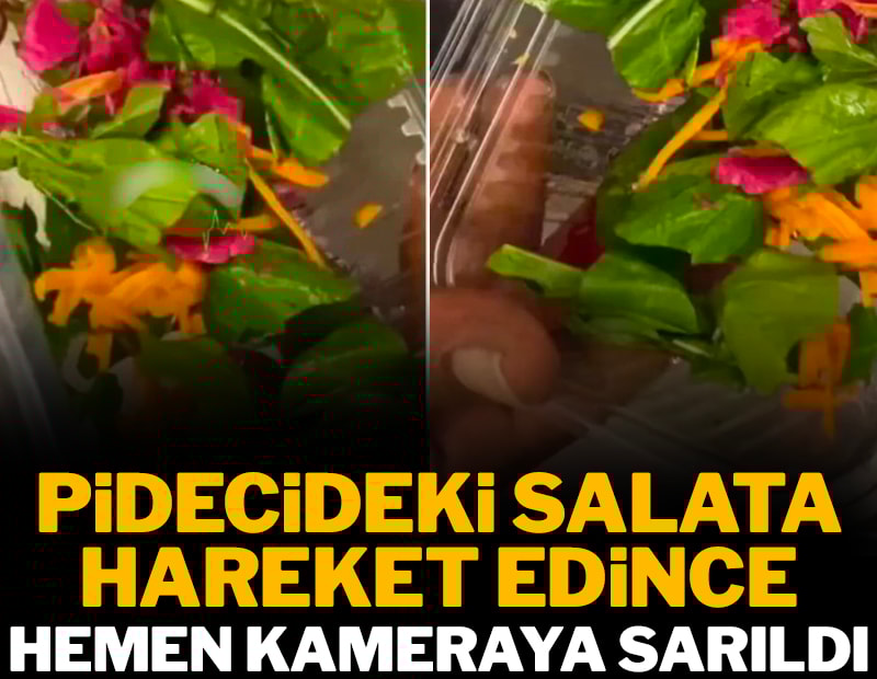 Pidecideki salata hareket edince hemen kameraya sarıldı: Gıda terörü uçuşa geçti