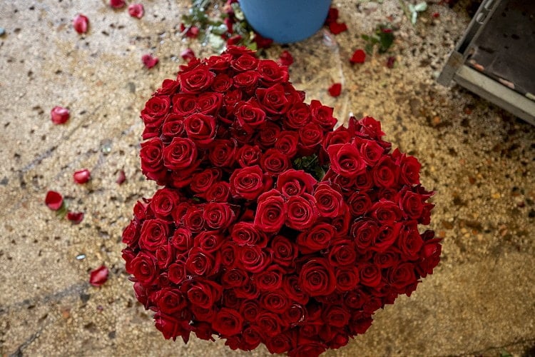 Eşine çiçek gönderdi boşanma nedeni sayıldı