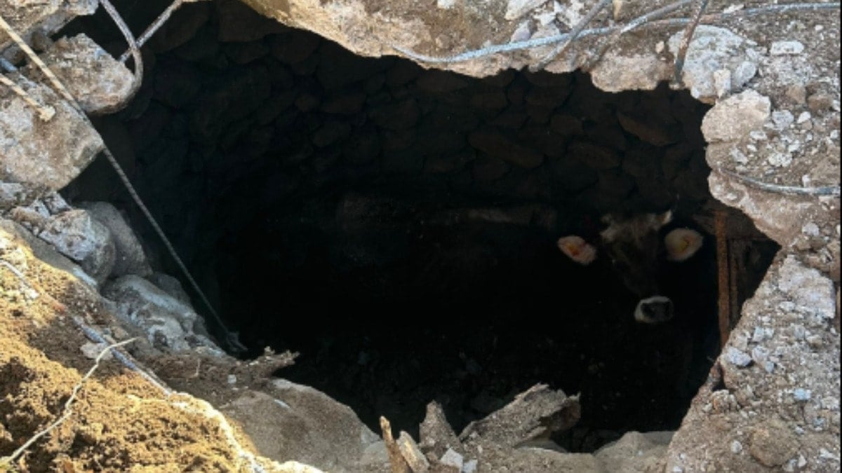 Metrelerce derinlikteki kuyuya düşen inek, itfaiye ekiplerince kurtarıldı