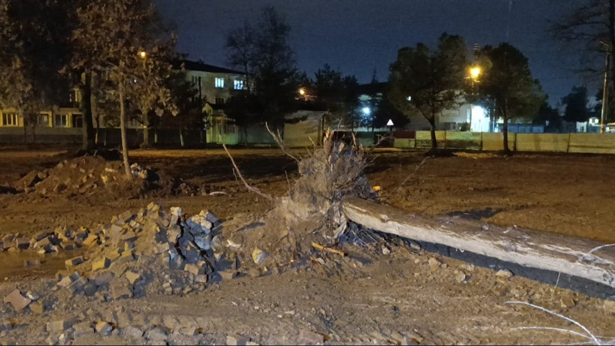 Bursa'da fırtına ağaç devirdi