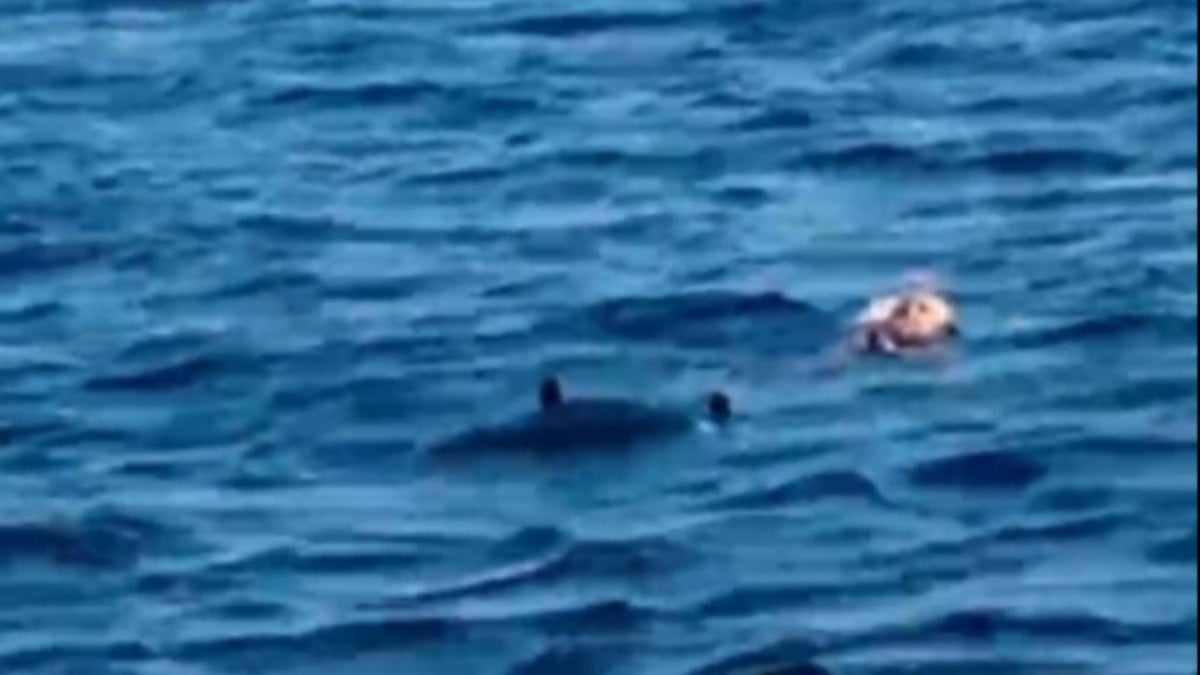 Feribottan atlayan kişi kurtarıldı