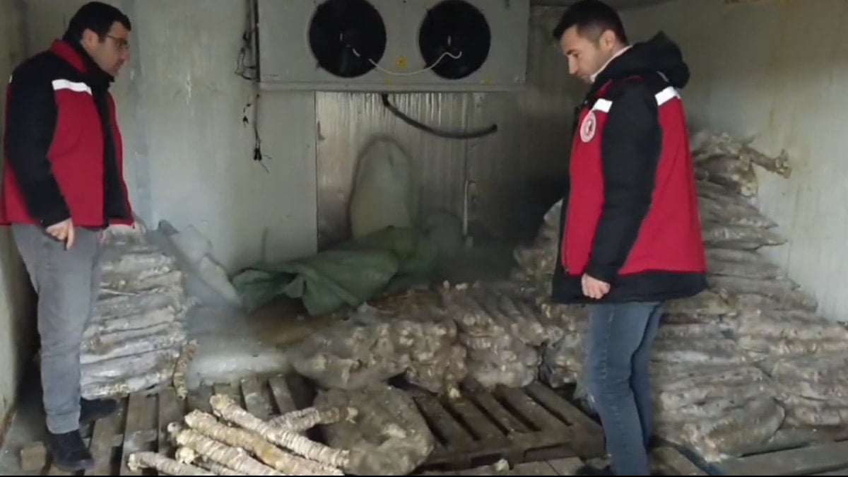 Manisa’da 4 milyon lira değerinde bozulmuş kokoreç ele geçirildi