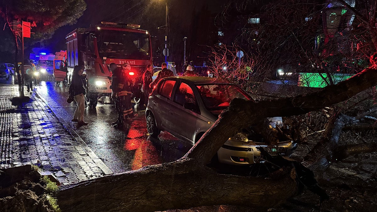 Edirne'de seyir halindeki otomobilin üzerine ağaç devrildi