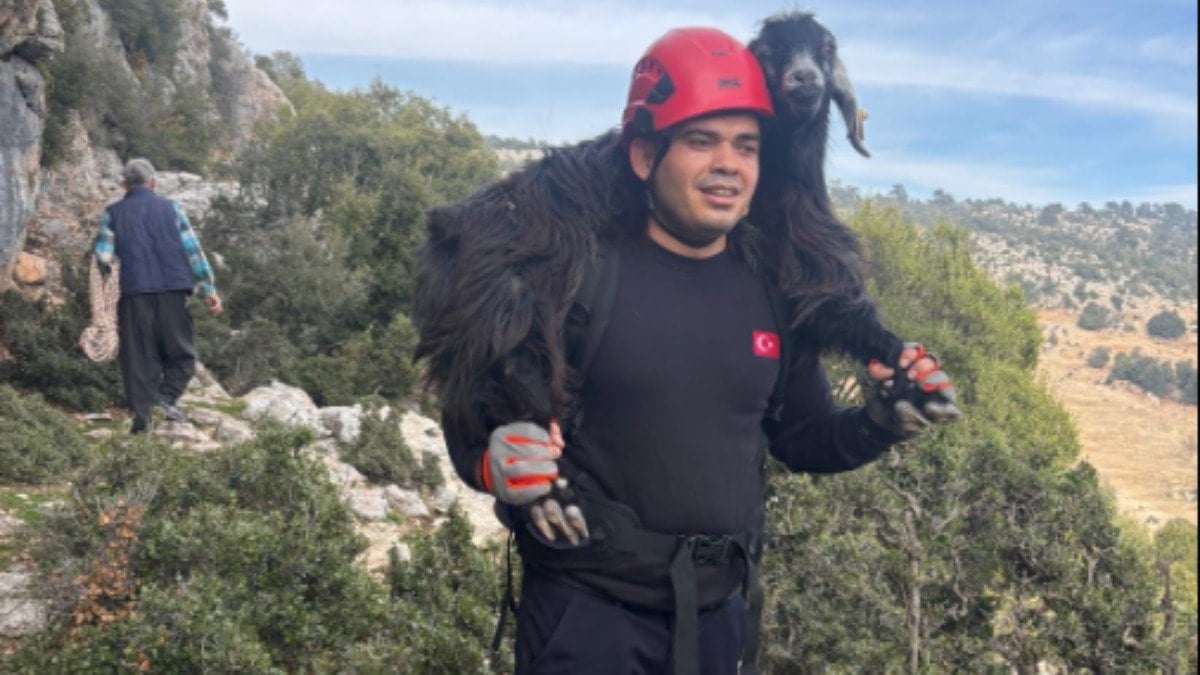 Mersin'de kayalıklarda mahsur kalan keçiler kurtarıldı