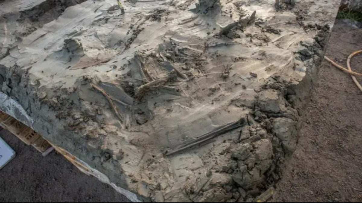 5 bin yıllık iskelet şaşırttı! Taş Devri'nden kalma gizemli bir gömü...