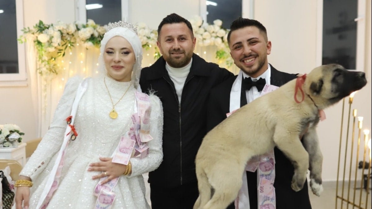 Gelin ve damadı şaşırtan hediye: Takı yerine kangal