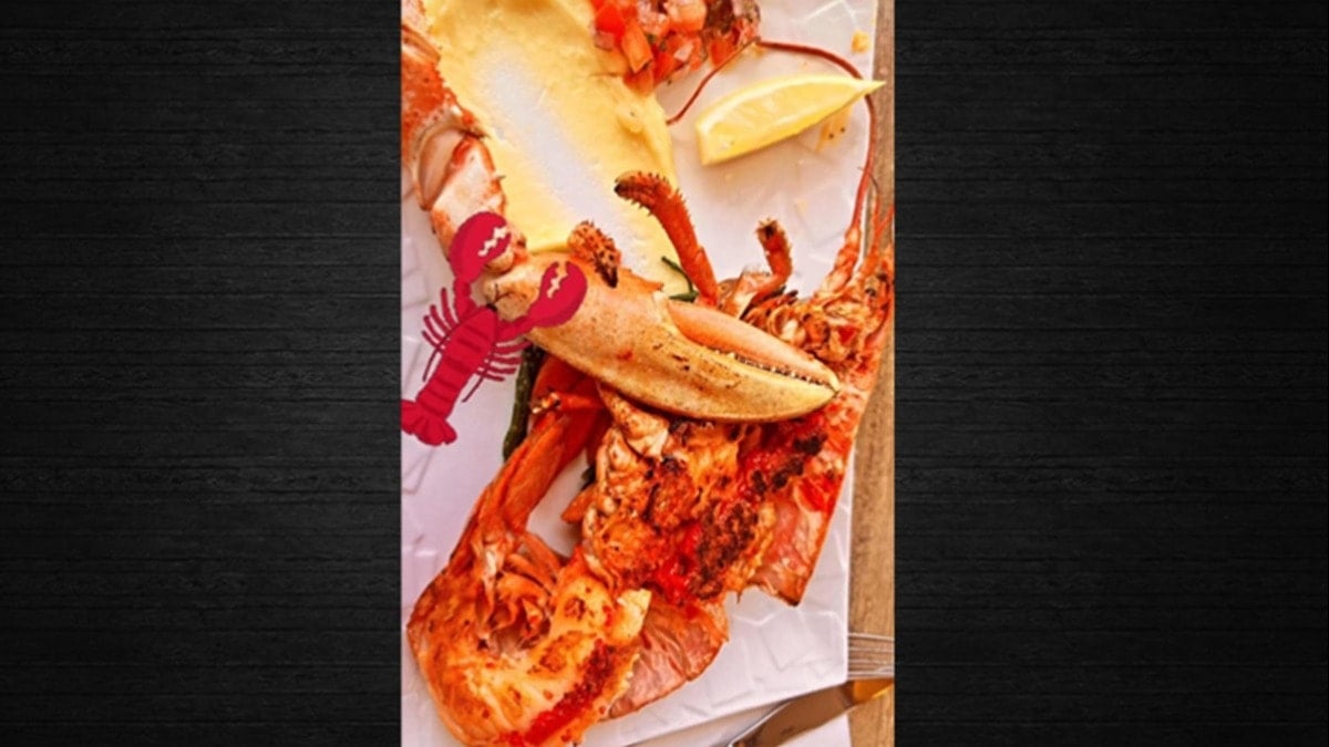 Istakoz derken AKP’li vekil topu ‘fes’e attı