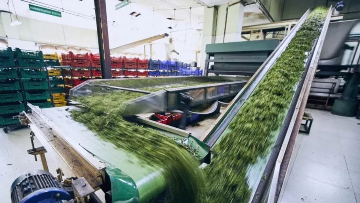 Dünyaca ünlü şirket Türkiye'deki fabrikalarını resmen sattı