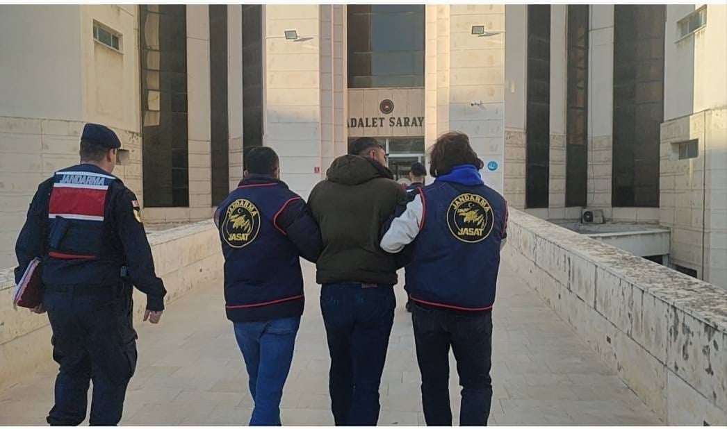 Zeytin hırsızları yakalandı